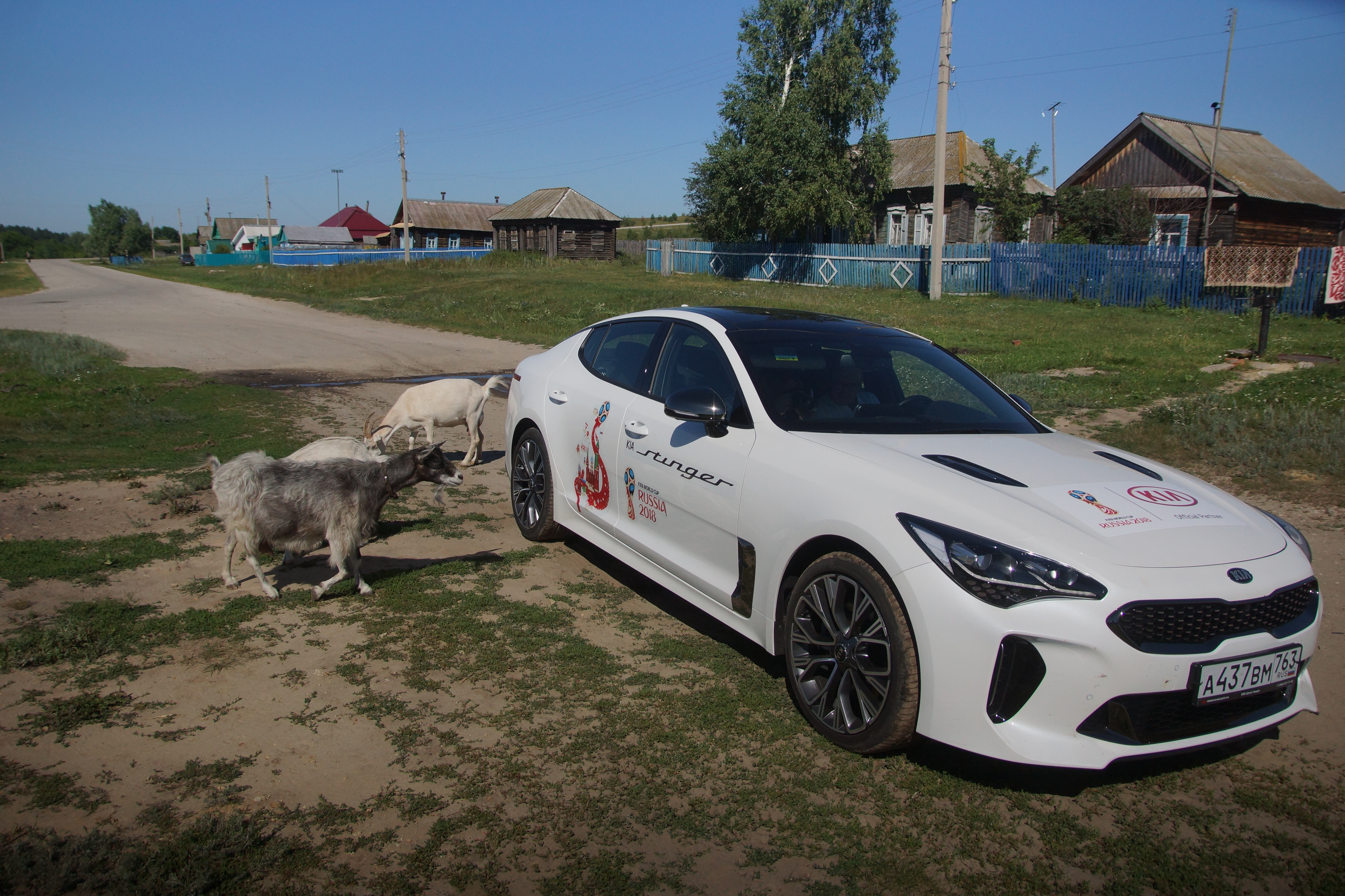 Животные оказались контактными и с удовольствием позировали нашему фотографу