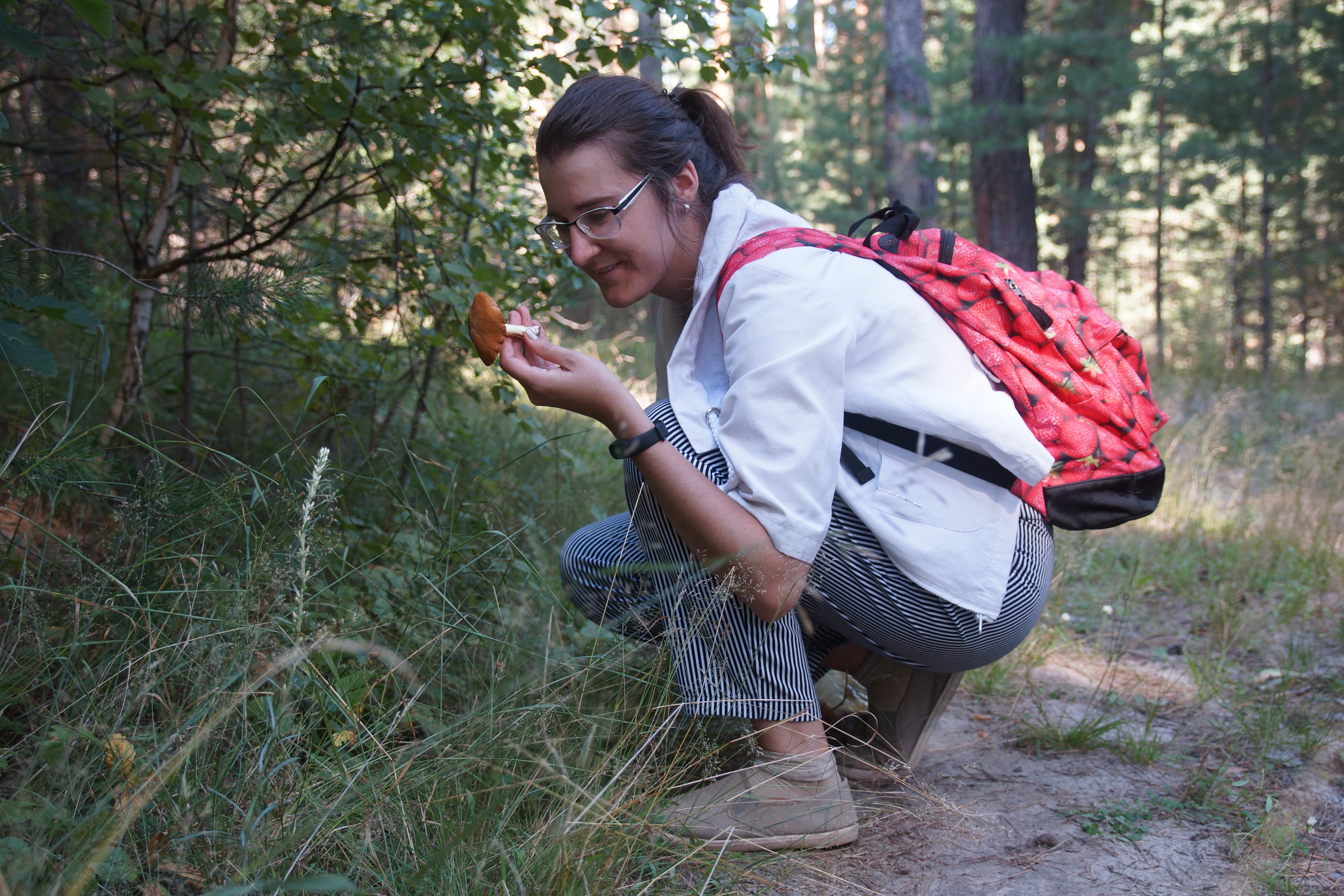 Грибов в бору больше чем достаточно