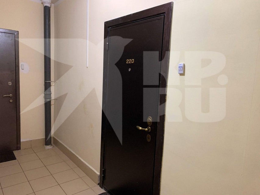 Сейчас сотрудники полицию разыскивают хозяина квартиры, который сдал ее под приют.