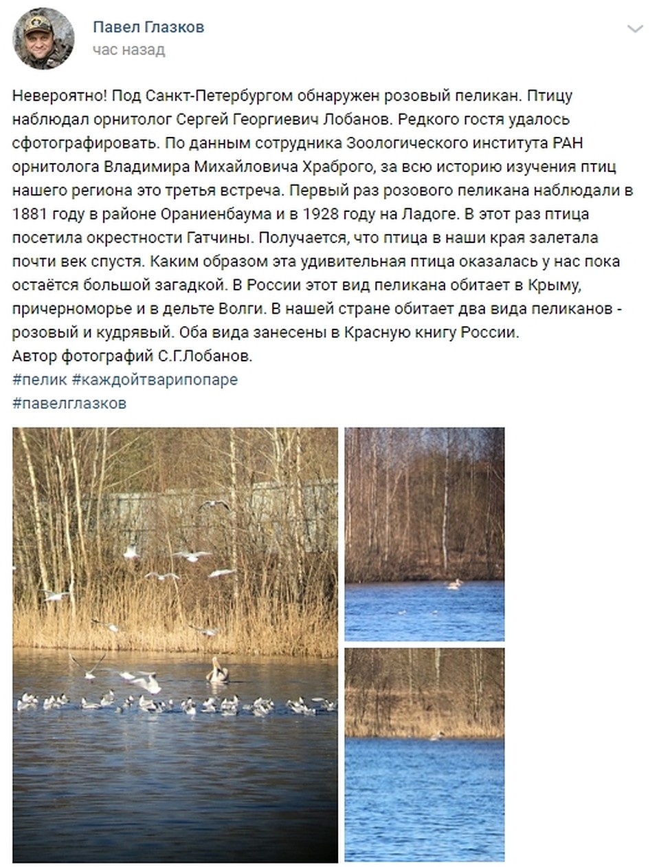 Обо всем рассказал биолог Павел Глазков. Фото: vk.com/id2730611