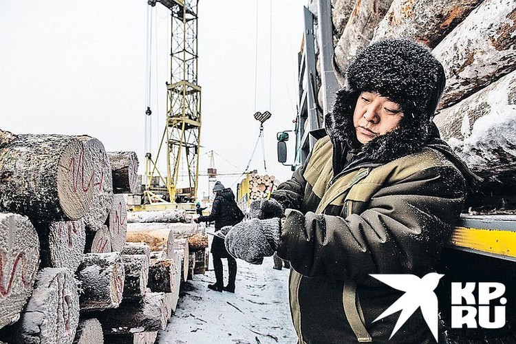 Лес идет в Китай. Экономисты спорят: для России это дорога жизни или ровно наоборот?