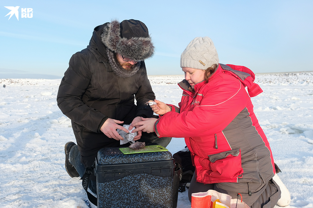 Лучше иметь при себе специальный ящик для хранения снастей - на нем и наживку можно порезать и присесть-передохнуть.