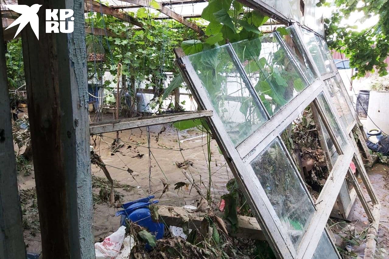 Возвращаясь в свои дома, люди находят обвалившиеся стены, вездесущую плесень и черную землю.