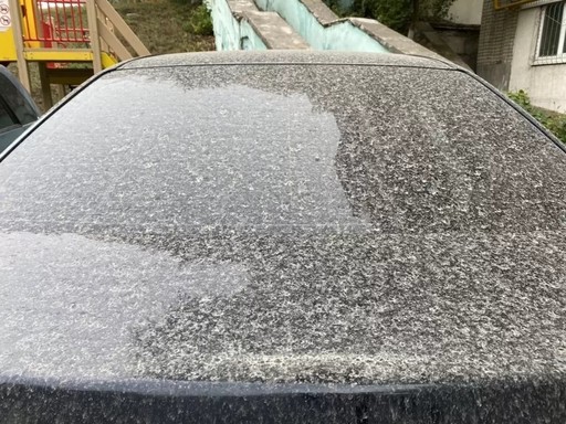 Не самая приятная картина для автовладельцев. Фото: twitter.com/dims_son