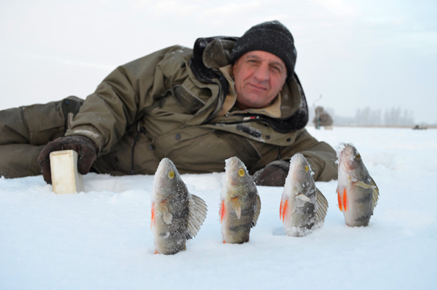 Красивый рыболовный счет