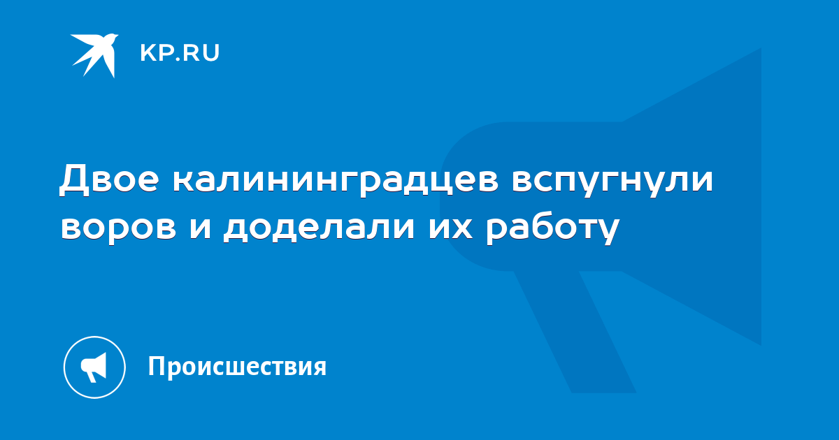 Двое калининградцев вспугнули воров и доделали их работу - Vimarsana News