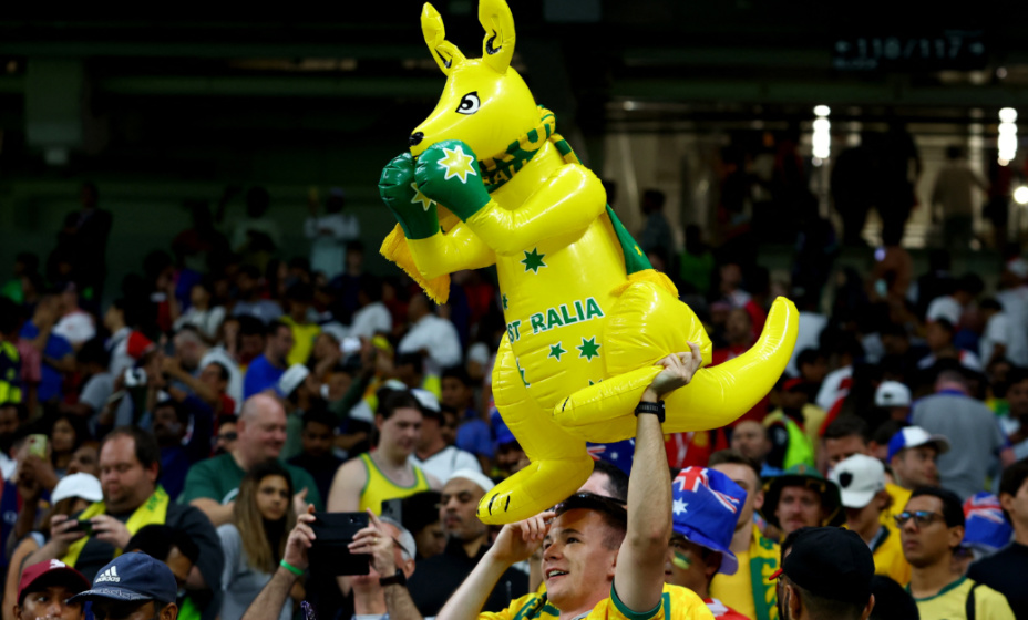 Кенгуру оказались с кулаками. Фото: Reuters 