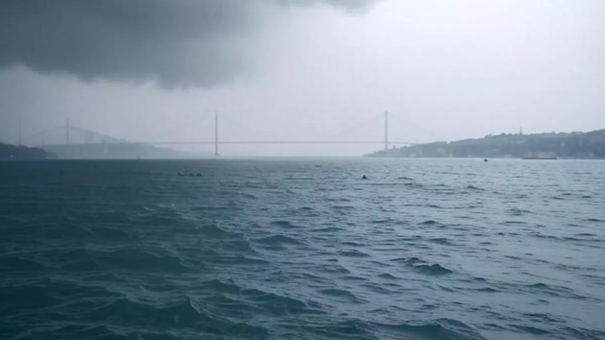 На Босфоре произошел несчастный случай с русским пловцом. Фото: ИИ