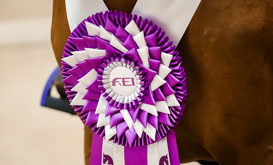 FEI разрешила российским юниорам выступать под своим флагом и гимном. Фото: Федерация конного спорта России