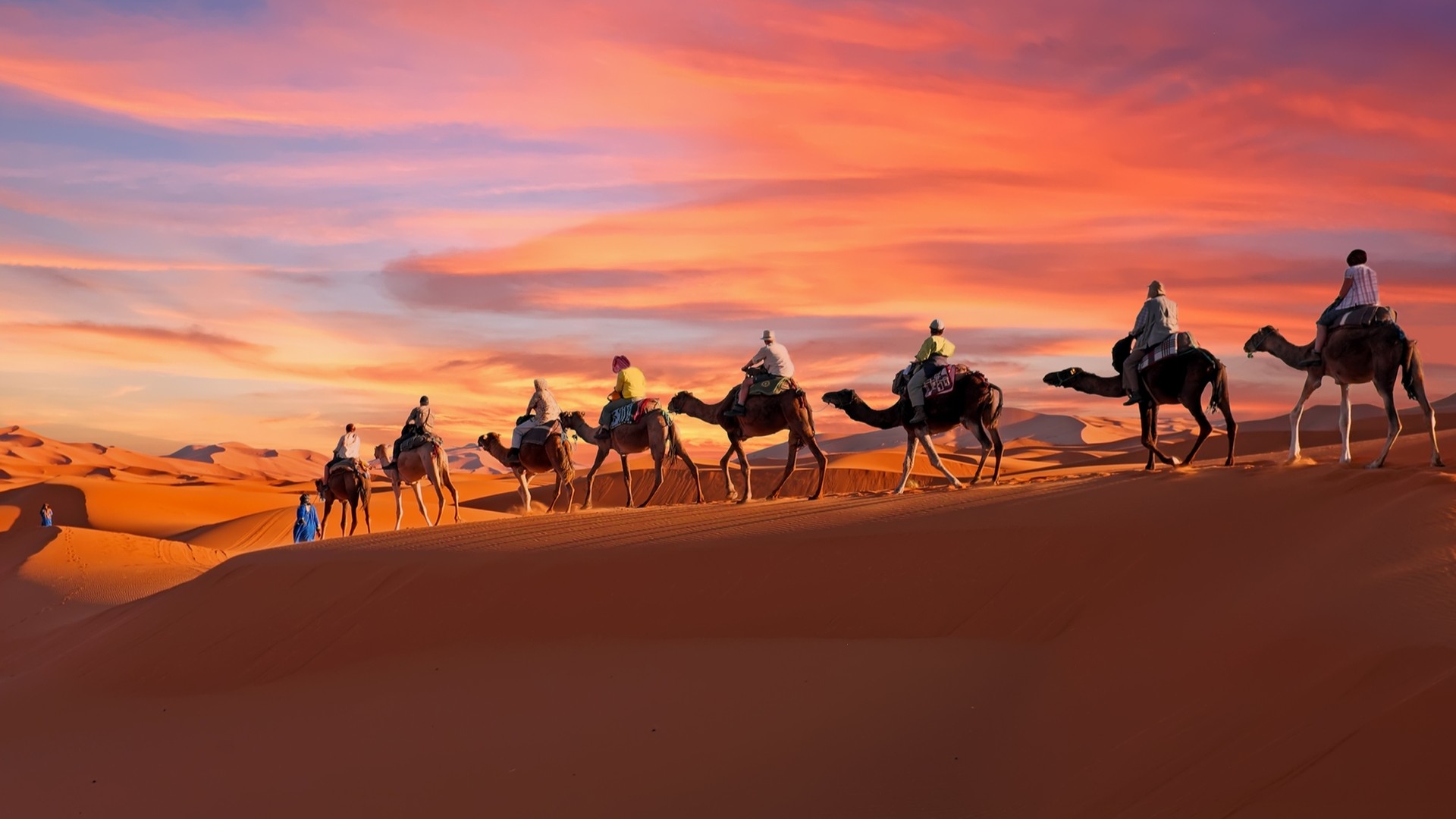 Караван верблюдов пересекает пустыню Сахара в Марокко на закате.