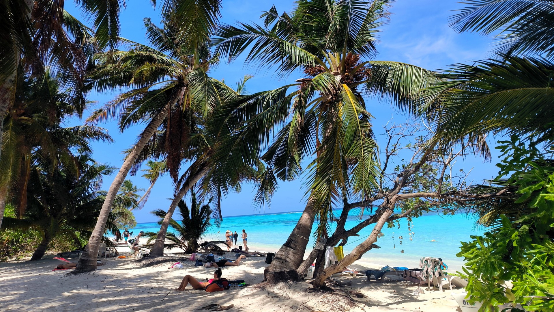 Туристы отдыхают на пляже острова Тодду.