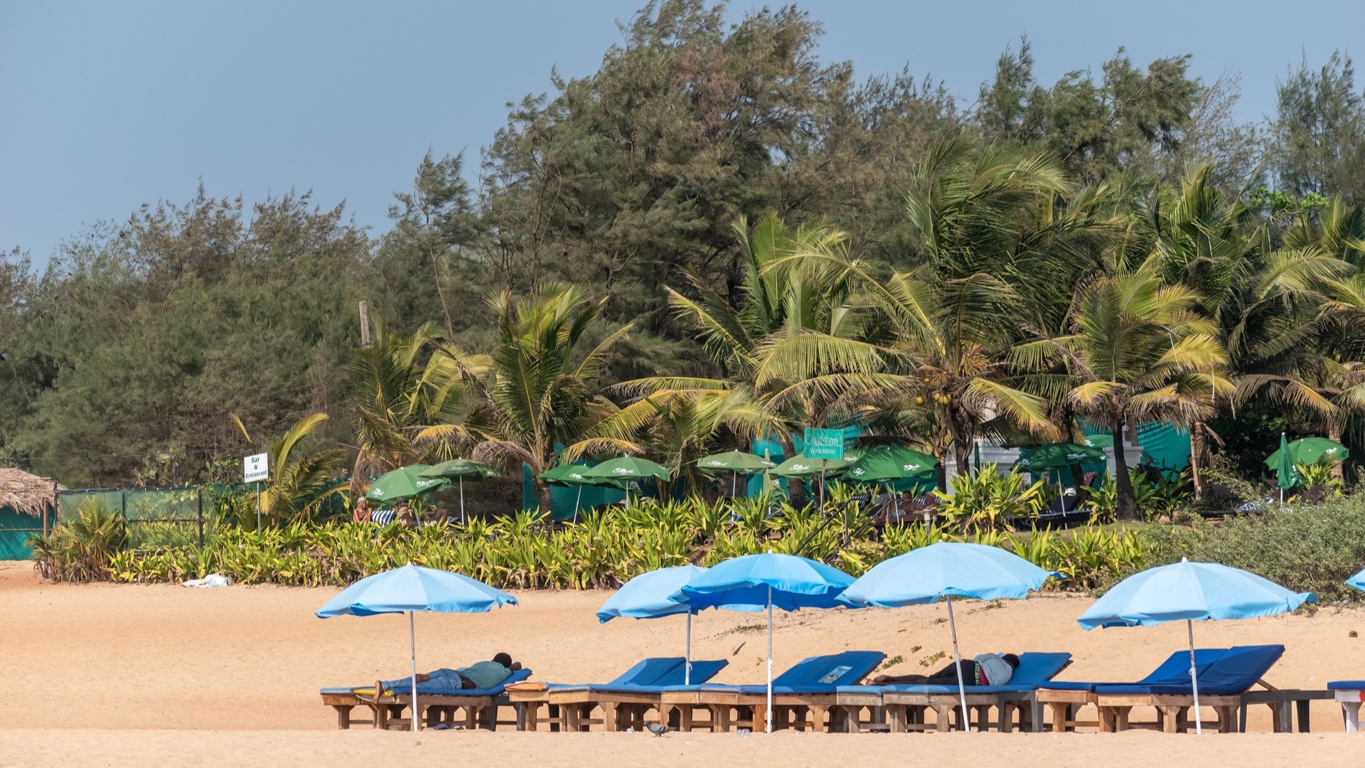 Пляжная хижина на открытом воздухе на популярном пляже Калангут.