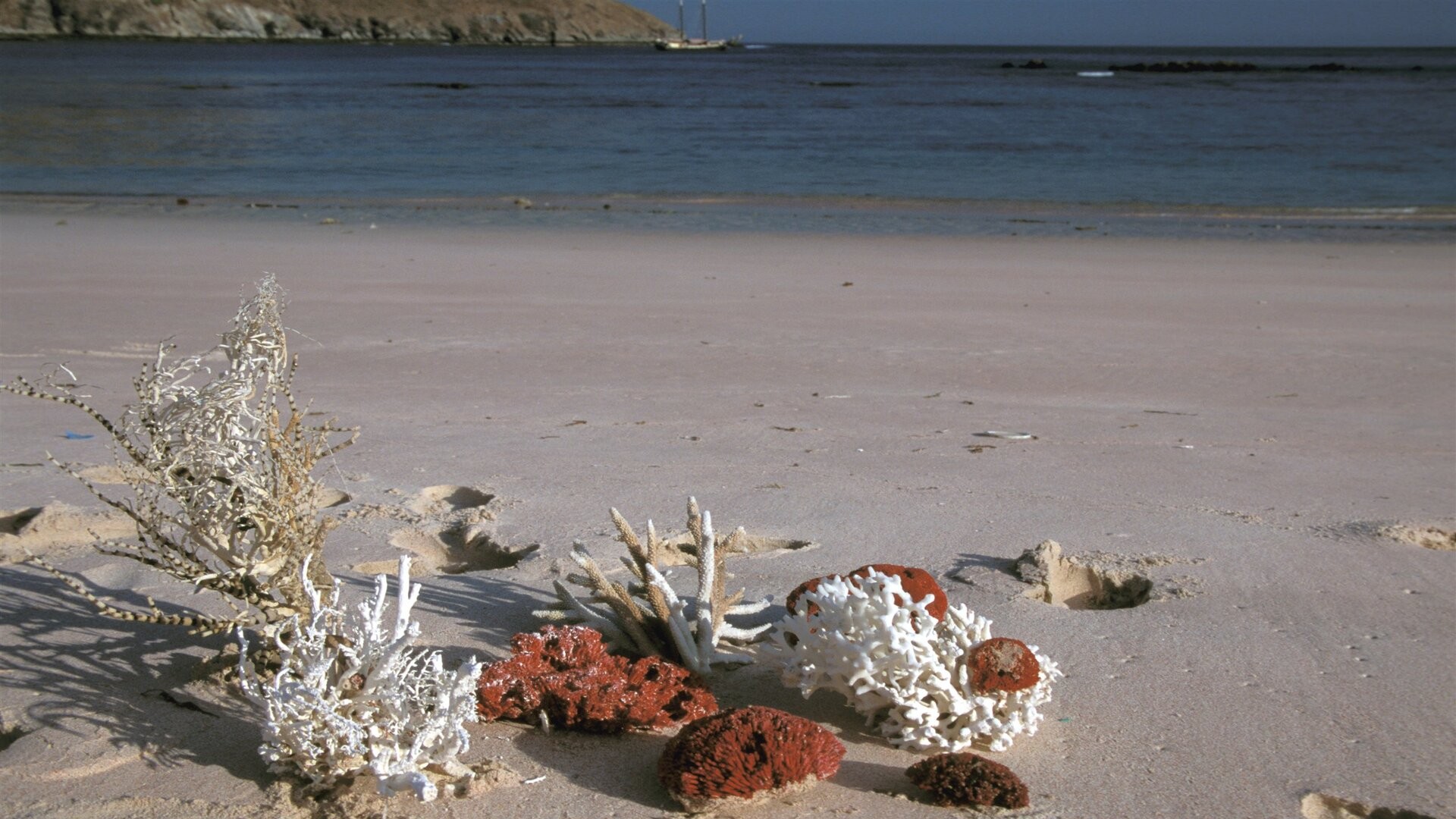 Пляж Pink Beach, Ринка, дикая часть Национального парка Комодо.