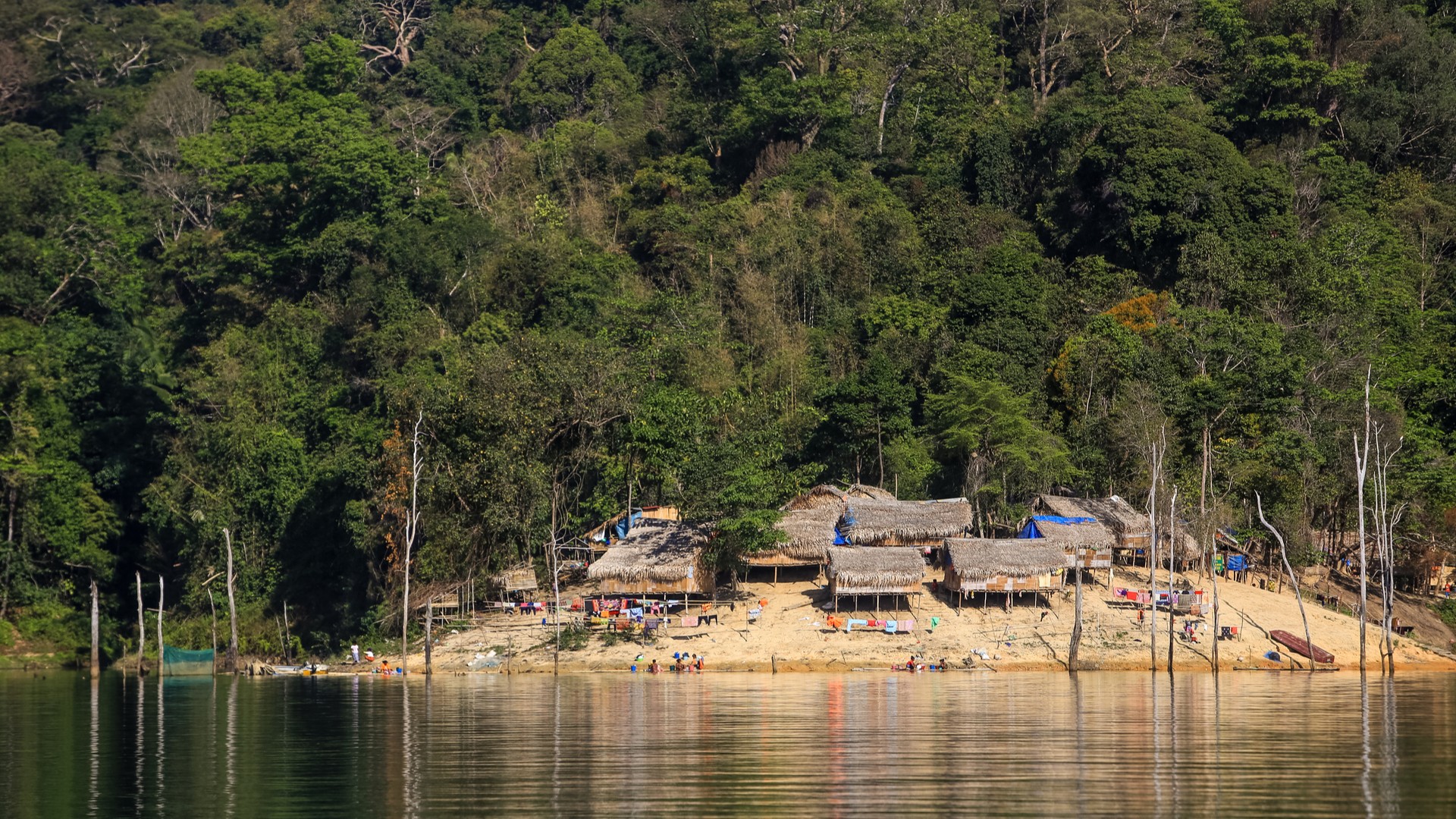 Хижины аборигенов в Королевском парке Белум.