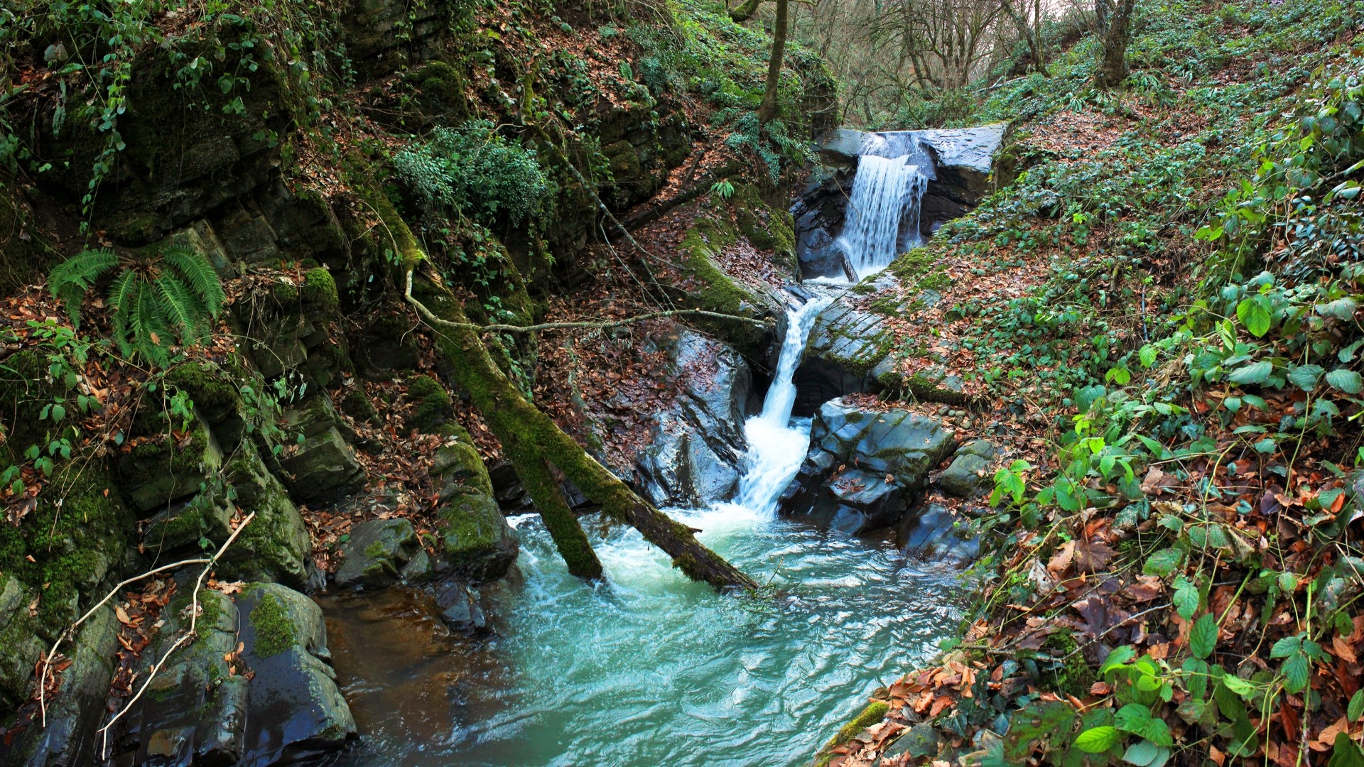 Красивый водопад в лесу, Масаллинская область.